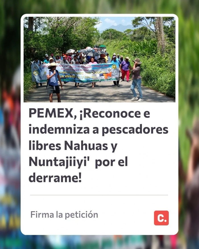 marka.php